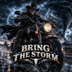 Cyber Outllaw Blues — Bring The Storm