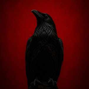 Dj Demon — Black Wings