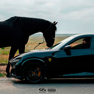 Purosangue (feat. Macan)